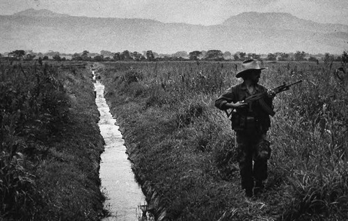 Sandinista walks through field, Nicaragua, 1980
