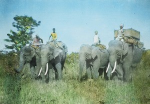 Travel by elephant, India, ca. 1930