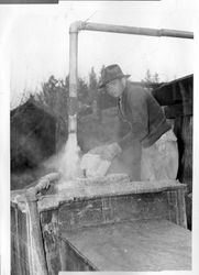 Sixteen year old Bill Silva filling the apple spray rig with sulfur and water on the dormant apple trees on the Silva Apple Ranch, located on Cherry Ridge Road, Sebastopol, 1944