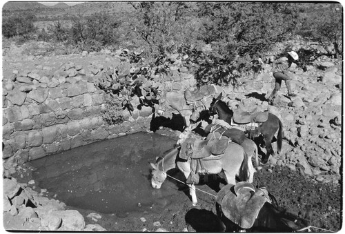 Stone dam in watercourse
