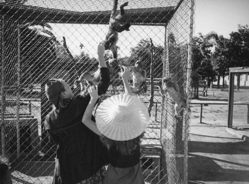 Feeding monkeys at Zoopark