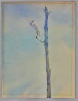 [Egret in tree]