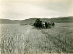 Combined harvester near San Ardo, California, 22593