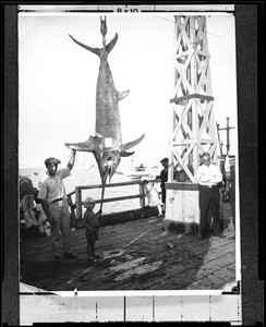 Several people posing with a swordfish on a pier, 1900-1910
