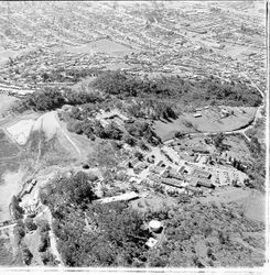 Aerial view of County Hospital area, Santa Rosa, California, 1970