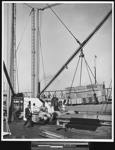 Orange crates being loaded onto a ship, showing a pallet being lowered, ca.1930