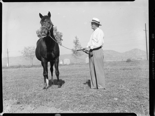 Man in coral with horse on bridle