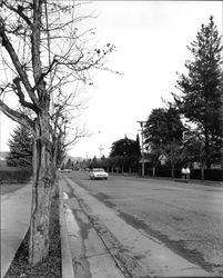 Street in Healdsburg, California, 1963