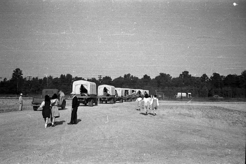 Covered trucks leaving Jerome camp for Tule Lake camp