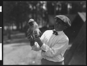 Zoo attendant holding a small Rhesus sacred monkey of India in his hands, ca.1940
