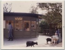 Staff members and goats at Happy Hollow Zoo, San Jose, California