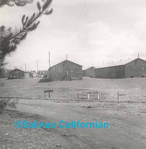 Japanese Relocation Camp Ph528, ©1942 Salinas Californian copy