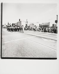 Marching units in Apple Blossom Parade, Sebastopol, California, 1978