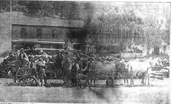 Occidental, about 1904 with a group of men, all holding rifles, in front of a wagon pulled by a team of four mules