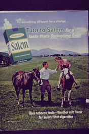 Turn to Salem for a taste that's Springtime Fresh