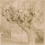 [Men in tree]
