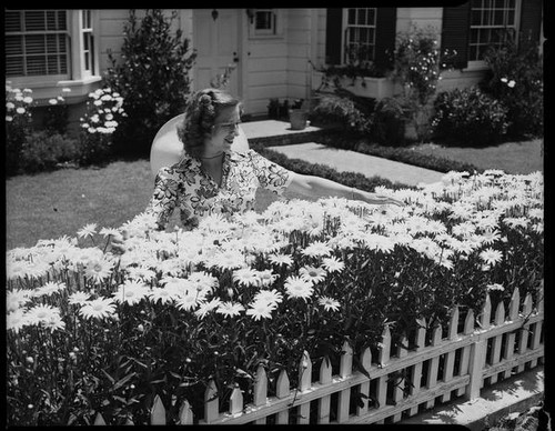 Mrs. Joe Raymond with daisies in garden, 1946