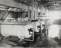 Unidentified man standing next to cream vats at Petaluma Cooperative Creamery, about 1930