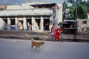 Den Norske Skole i Kathmandu, Nepal, 1991. Der er også bedre veje langs små butikker - og med omstrejfende hunde