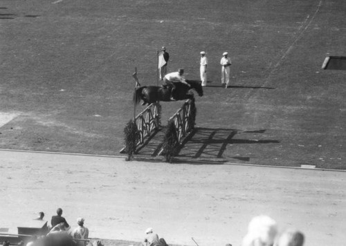 Show Jumping, 1932 Olympic Games