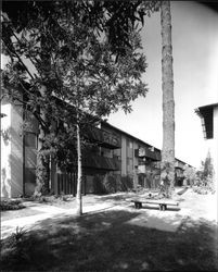 Exterior views of the Creekside Park Apartments, Santa Rosa, California, 1965