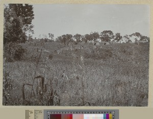 Indigenous village, Livingstonia, Malawi, ca.1903