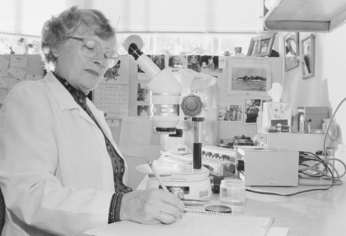Thea Schultze was hired as a technician and reached the advanced rank of Staff Research Associate at Scripps Institution of Oceanography. She originally worked with Ted Walker and later with Fager and then Paul Dayton. October 11, 1984