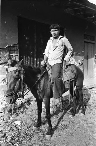A guerrillero sits on a mule, San Agustín, 1983