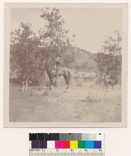 J.E. Pleasants on horse