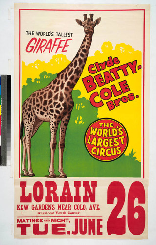 Clyde Beatty-Cole Bros : the world's tallest giraffe