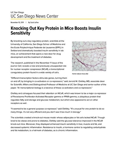 Knocking Out Key Protein in Mice Boosts Insulin Sensitivity
