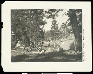 Men camping near Mammoth at Purple Meadows, ca.1930