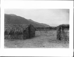 Coahuilla Indian dwellings at Palm Springs, ca.1890