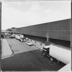 Access road behind Santa Rosa Plaza and parking structure, Santa Rosa, California, 1982