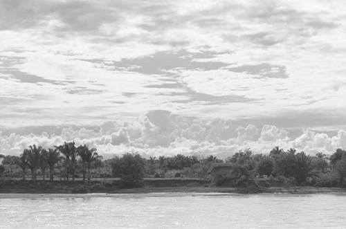 Panoramic view of a section of the Magdalena River, La Chamba, Colombia, 1975