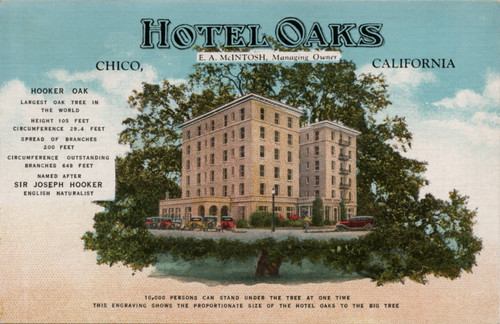 Hotel Oaks