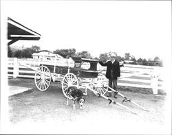 Man standing next to a Simone Horse Farm wagon, Sonoma, California, about 1975