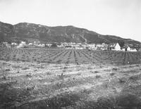 1920s - Burbank Farmland