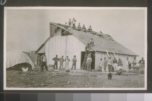 #205, Group of settlers assisting owner in rebuilding his barn