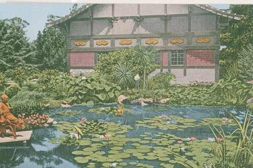 Lotus lily pond in the Bernheimer Gardens, Pacific Palisades, Calif