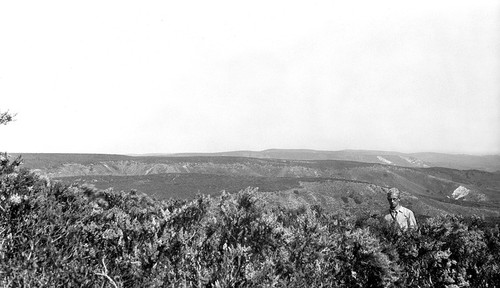 Facing west north west, viewing heather and gravel mesa country south and east of Tijuana