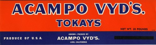 Acampo Vyd's