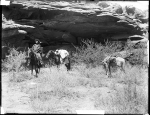 Havasupai Indian man on horseback, with two pack-horses, standing beneath a cliff overhang, ca.1899