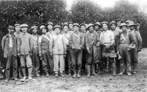 An Chang Ho, Kap Suk Cho and other workers at Riverside orange orchard