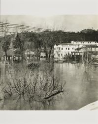 Flooding along Russian River, First Street, Guerneville, California, March 1940