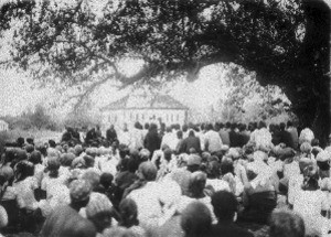 African people under a tree, southern Africa