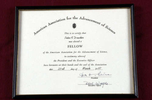 American Association for the Advancement of Science fellowship