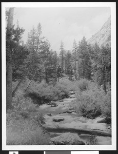 Unidentified river running through a mountain side forest, ca.1950