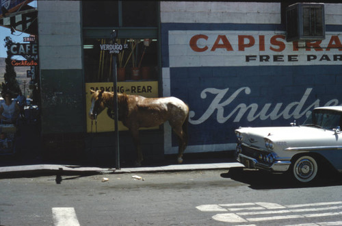 Horse on Verdugo Street, San Juan Capistrano, ca. 1950-1969