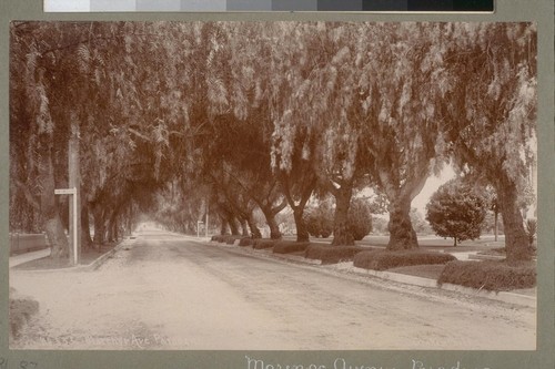Marengo Ave. Pasadena. No. 555. [Photograph by Graham.]